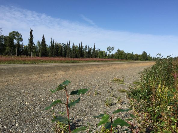 63767 Oil Well Rd, Ninilchik, AK 99639